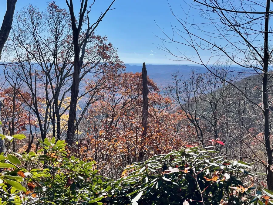 A view on the way up Pilot Mountain