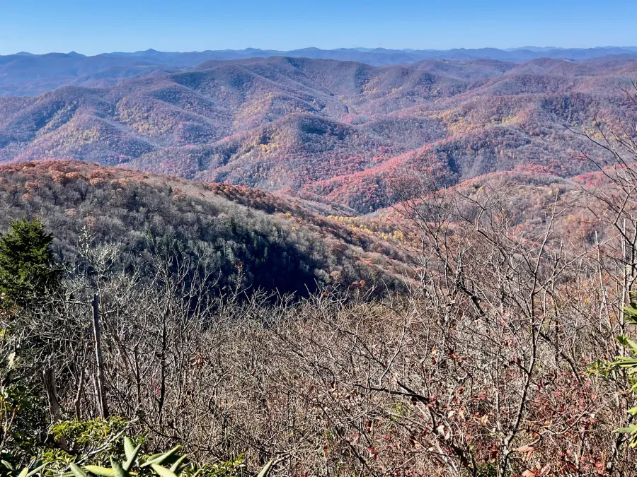 A view from Pilot Mountain
