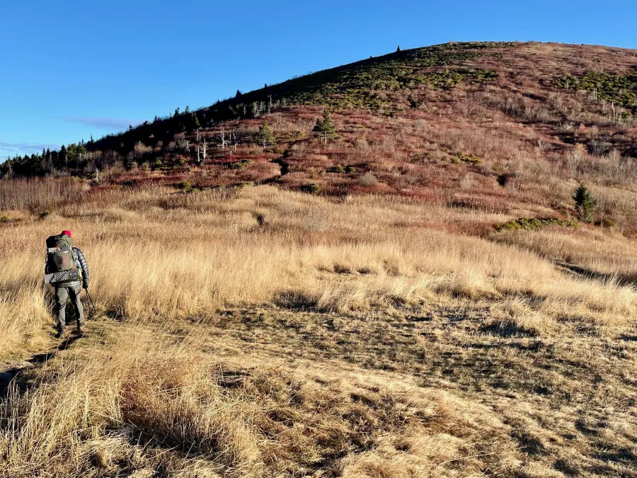 Approaching Grassy Cove Top