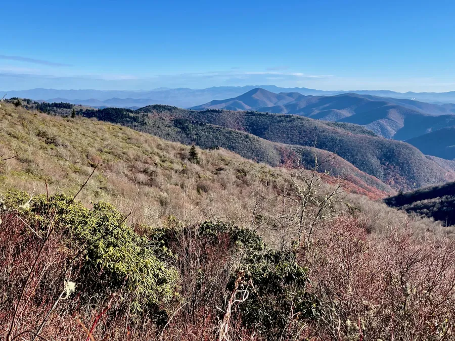 A view from Grassy Cove Top