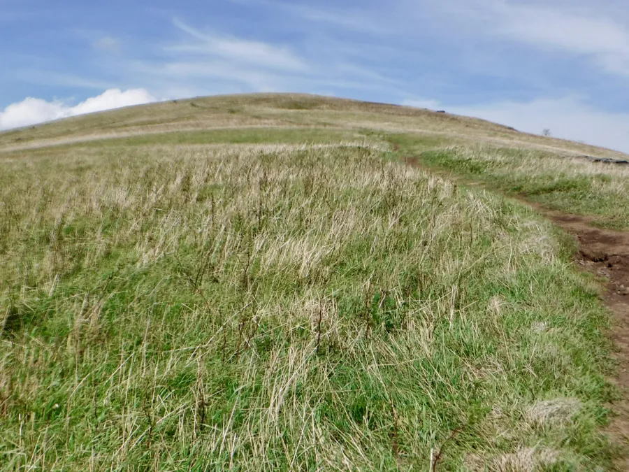 Near the summit of Big Hump