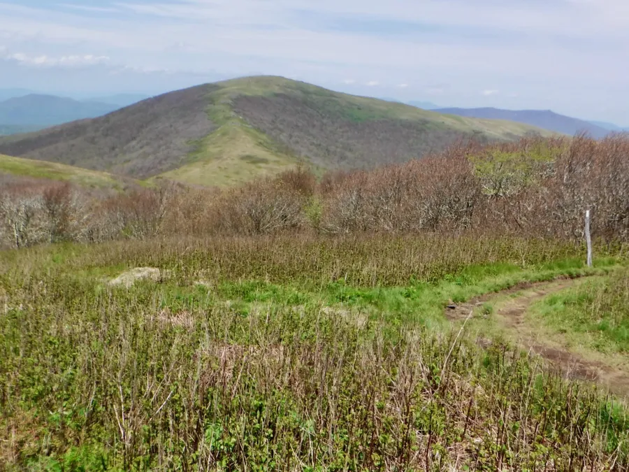 View of Big Hump from Little Hump