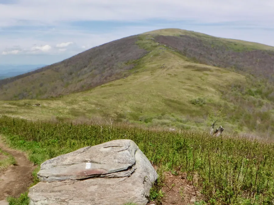 View of Big Hump from Bradley Gap