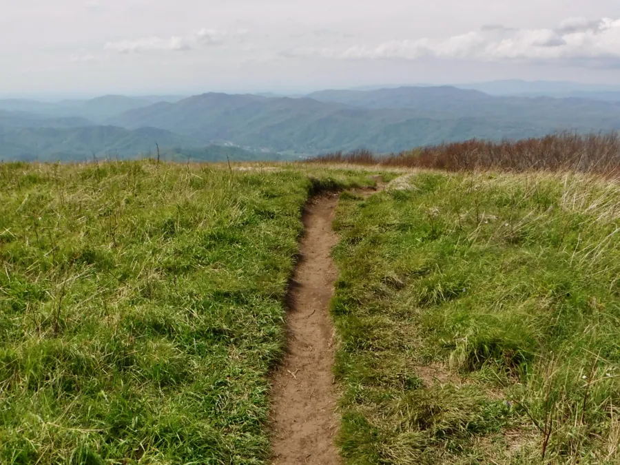 A view from the top of Big Hump