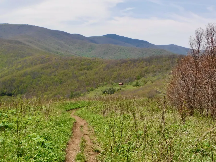 Looking back to Overmountain Shelter