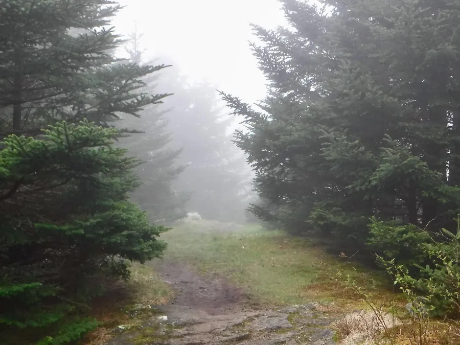 Near the site of Cloudland Hotel