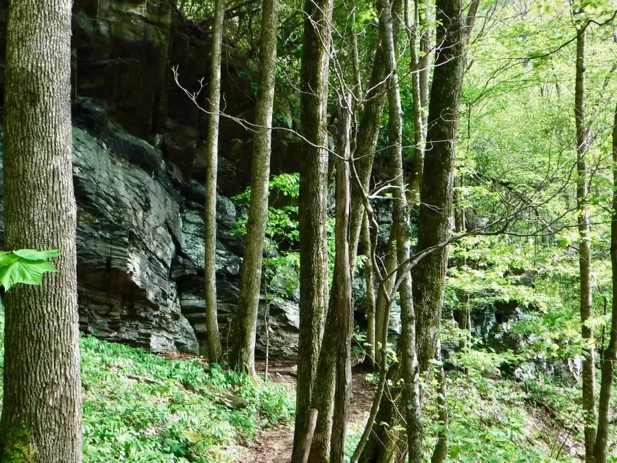Overhanging rocks