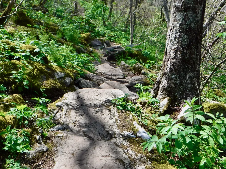 Rocky descent from Big Hump