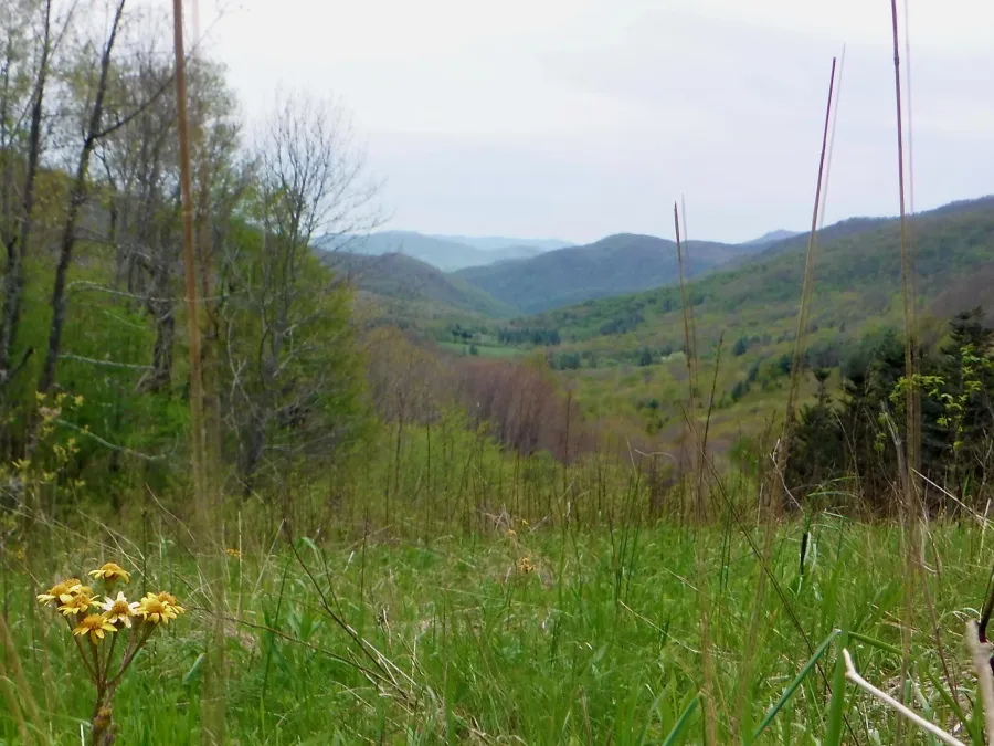 View from Overmountain Shelter