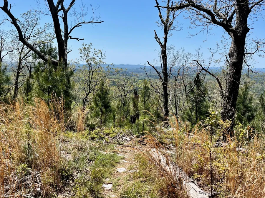 Cresting a hill