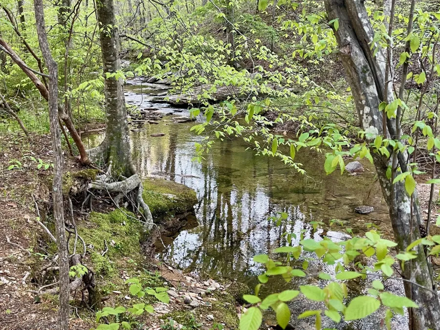 Dry Creek