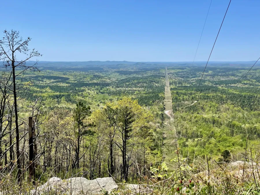 A cut in trees for a power line