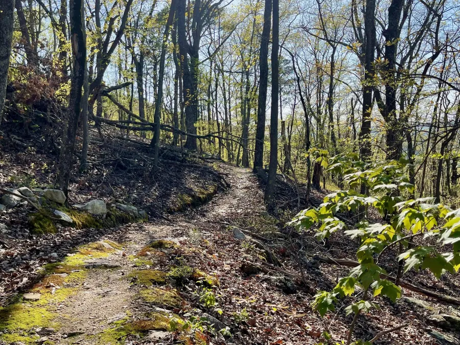 Smooth trail on a descent