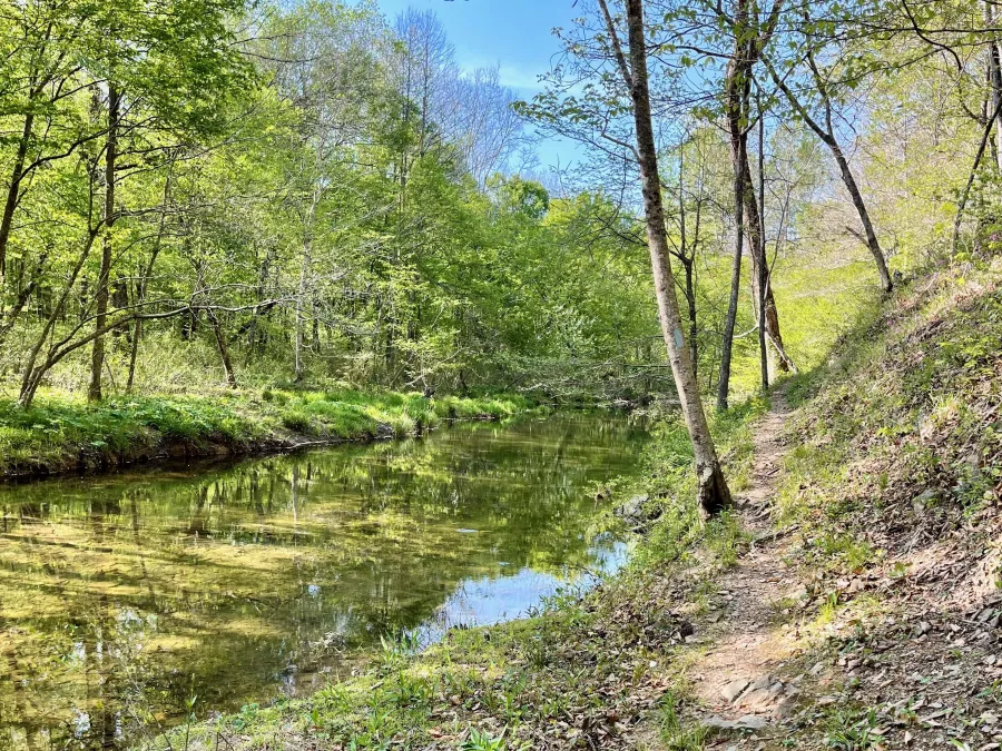 Shoal Creek