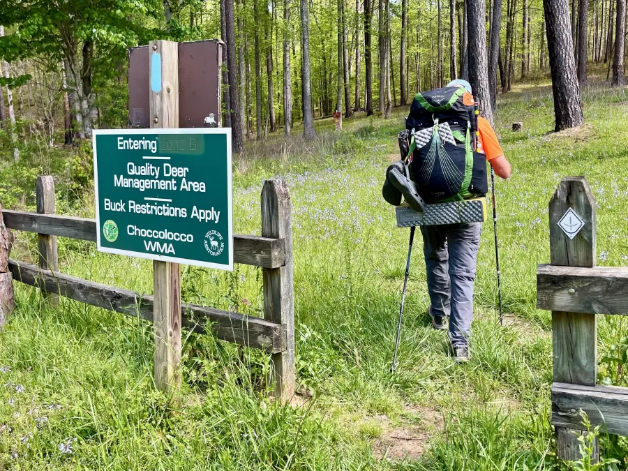 Entering Choccolocco WMA