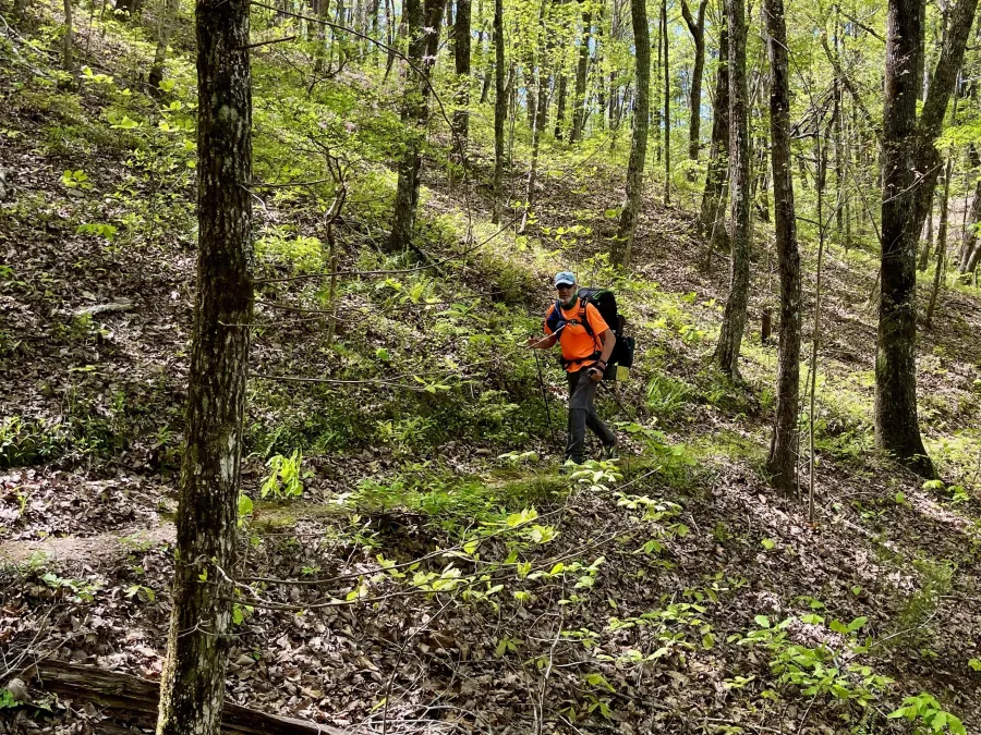 Tengo Hambre walks on the Pinhoti Trail