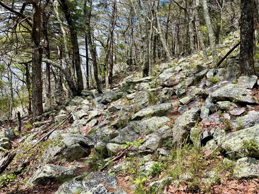 Boulders on the climb to McDill Point