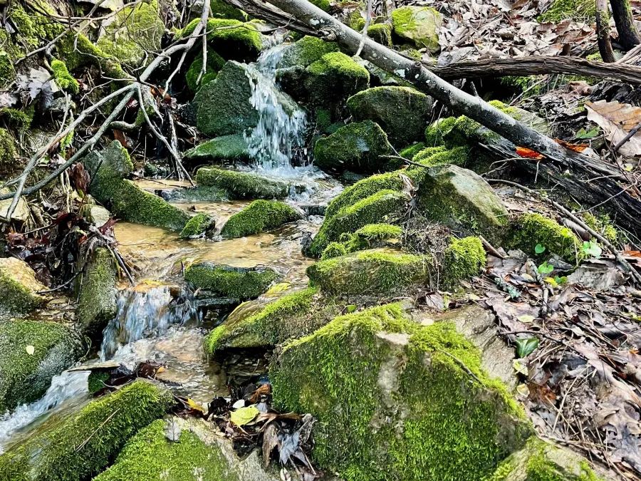 Water cascades over rocks