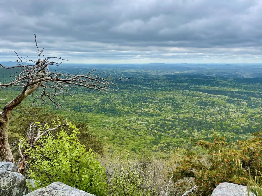 A view from a ledge