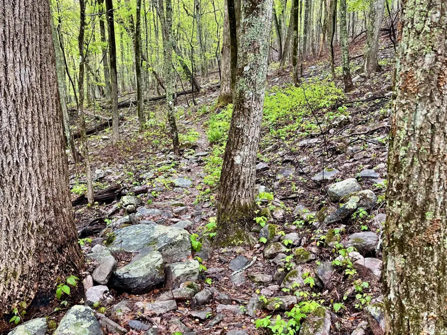 Rocks on the trail