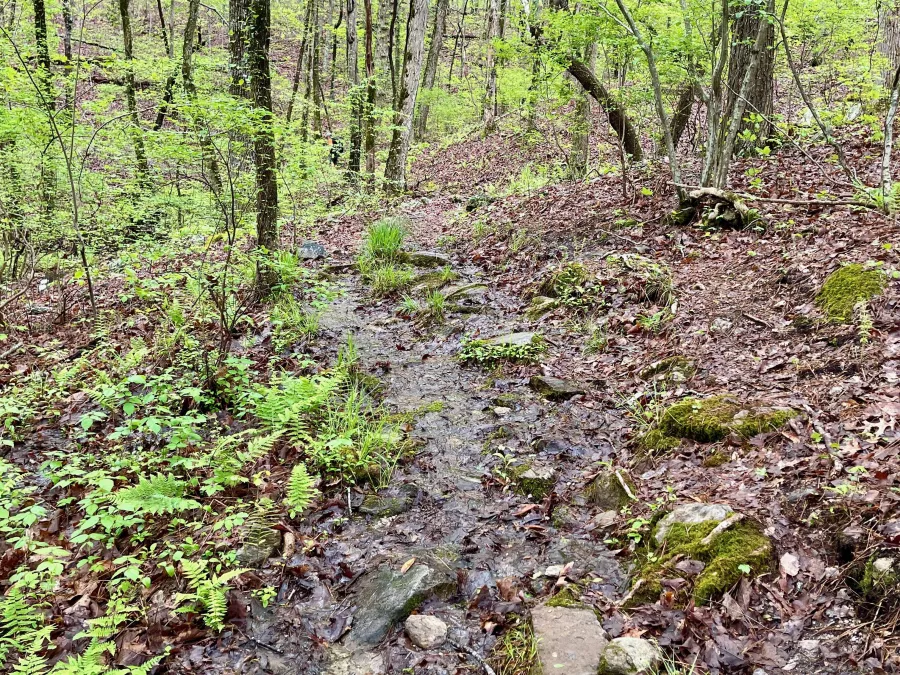 Soggy trail