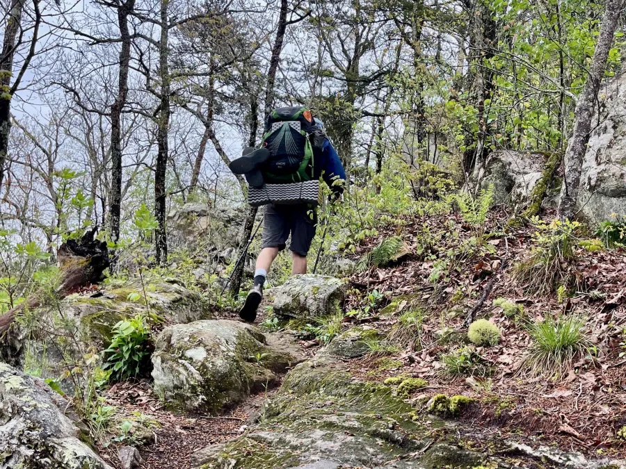 Tengo Hambre steps over rocks