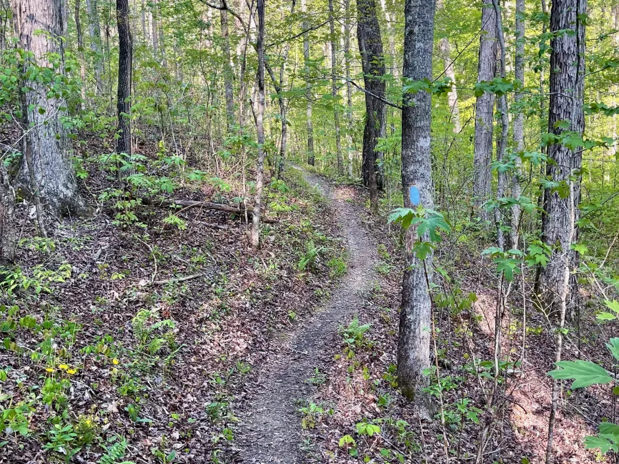 The trail makes small curves