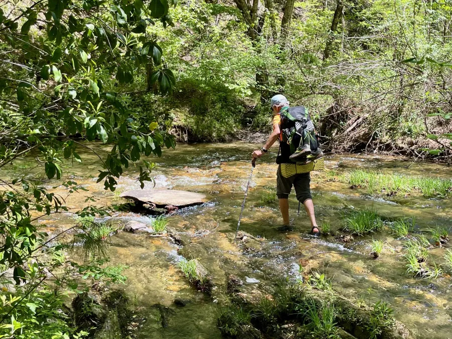 Tengo Hambre fords a creek