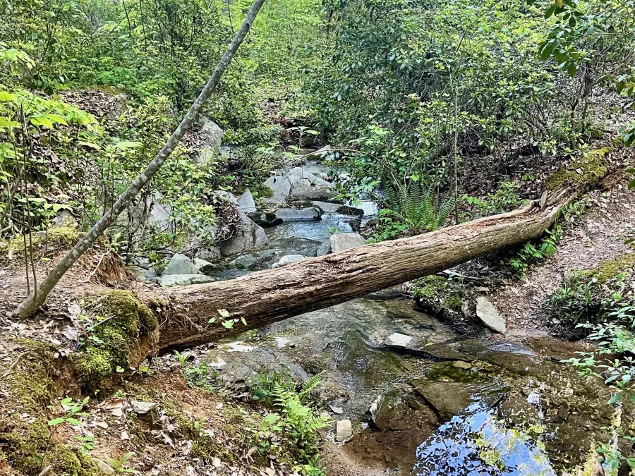 A log over a stream