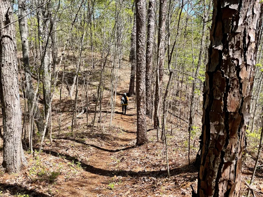 The trail makes small ups and downs