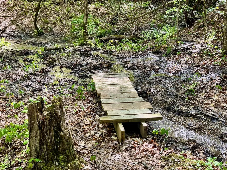 A bridge lies askew over a dry stream bed