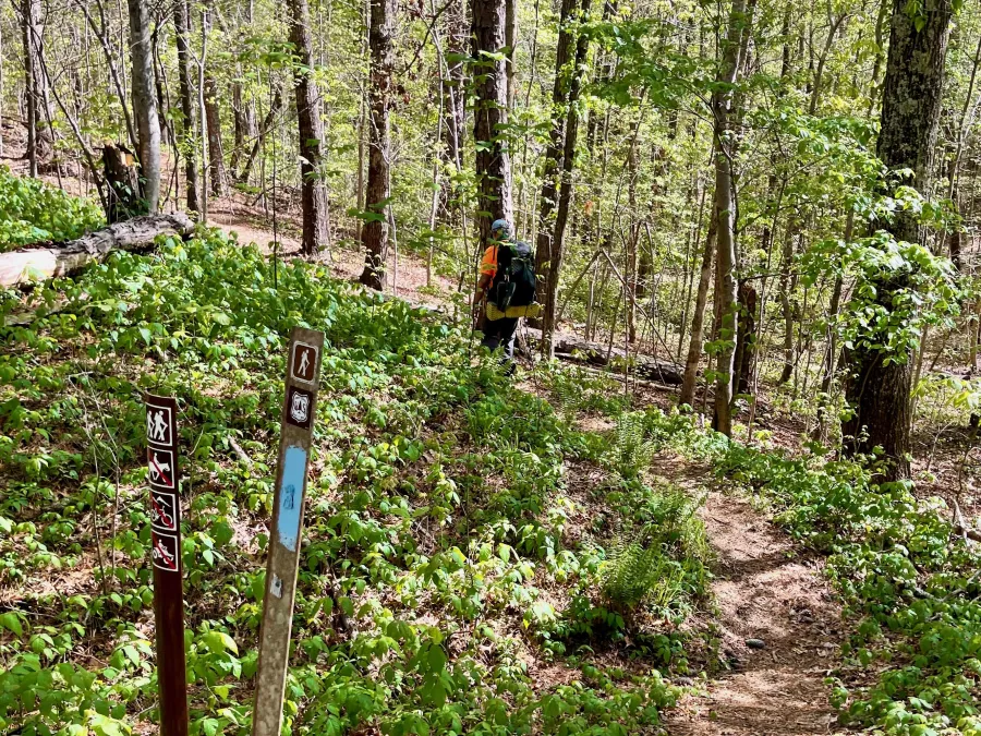 Back on a trail