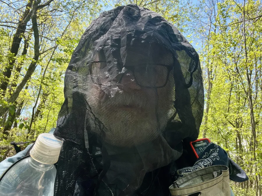Gravity wears a bug net