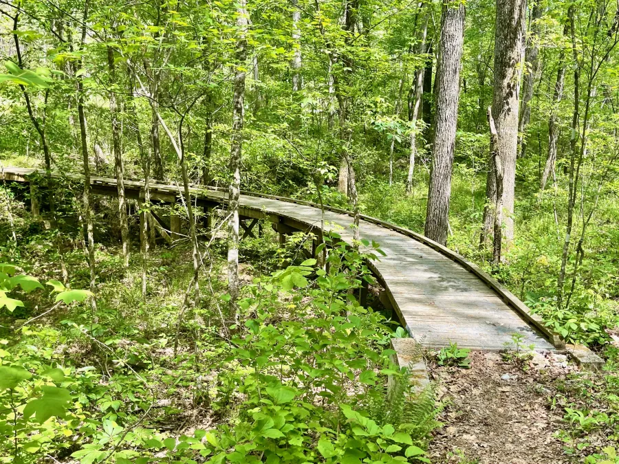 A curved boardwalk