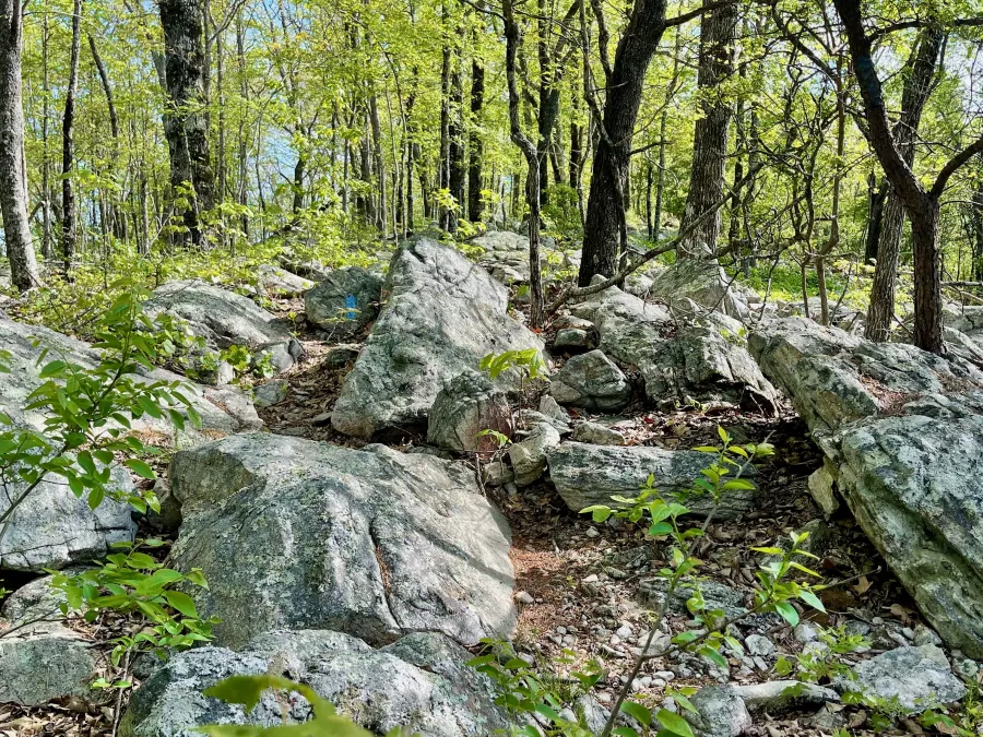 Large rocks on the trail