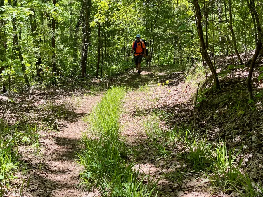 Tengo Hambre on the trail near Mack White Gap