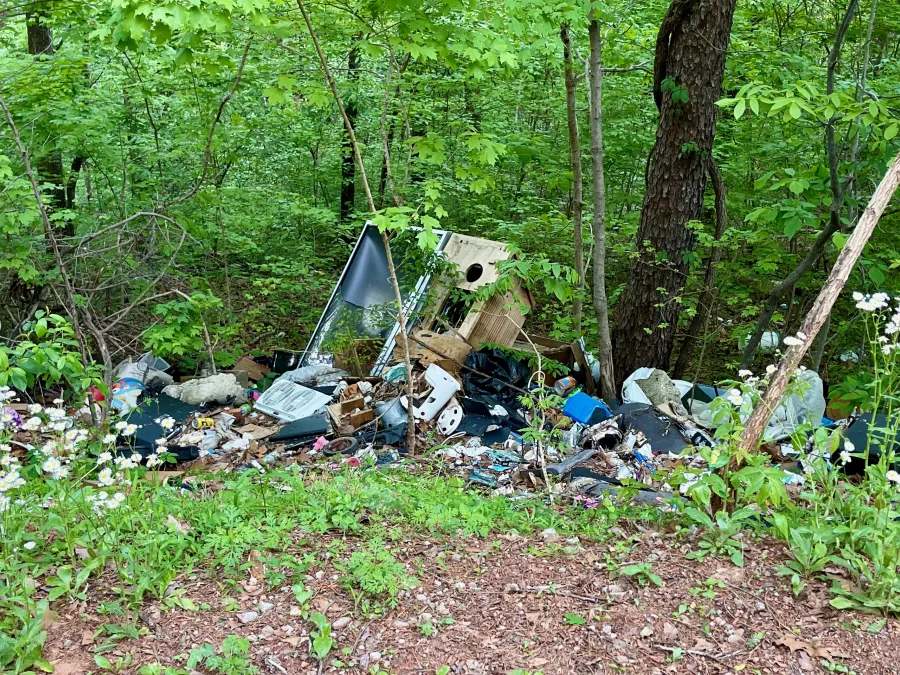 Another garbage dump