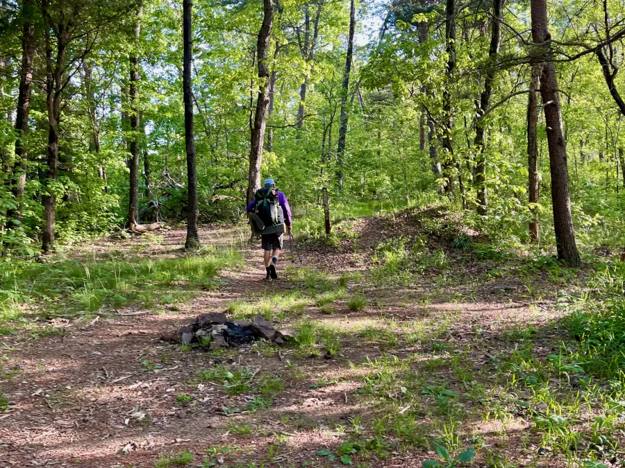 A campsite at Jenkins Gap