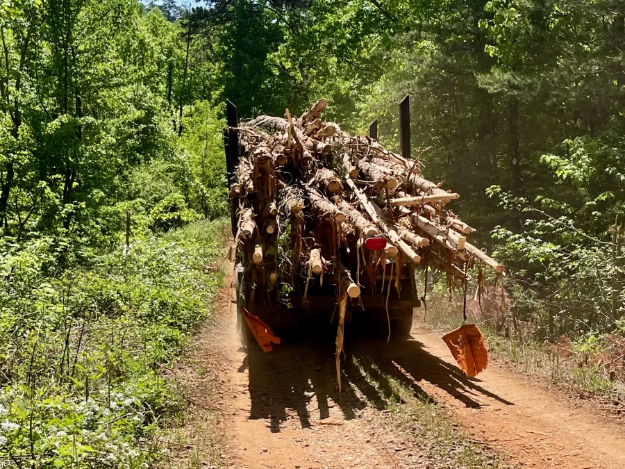 A truck loaded with logs
