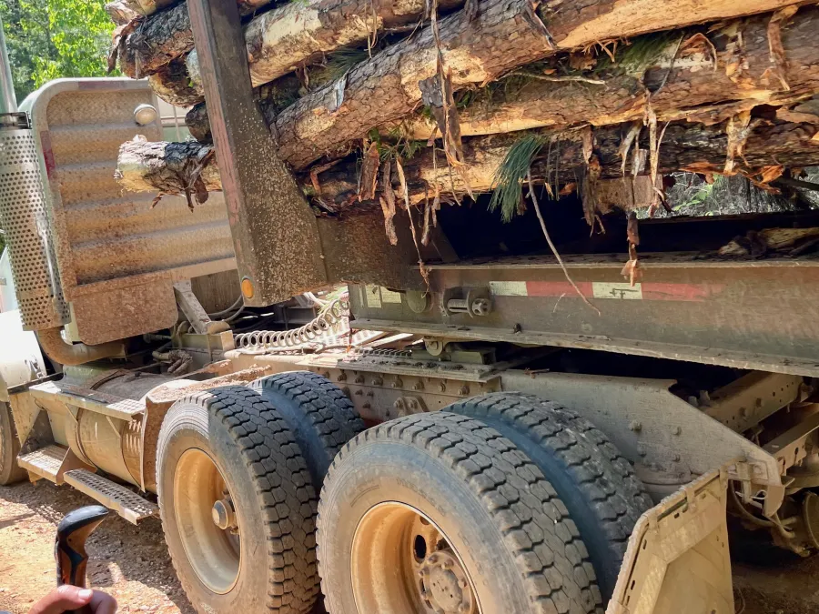 A truck loaded with logs