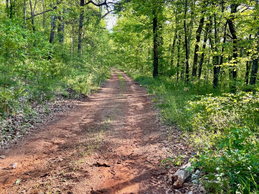 An ATV road