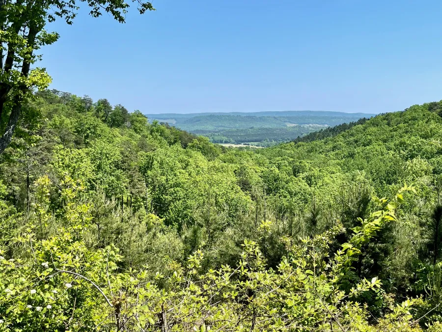A distant view from Taylor Ridge