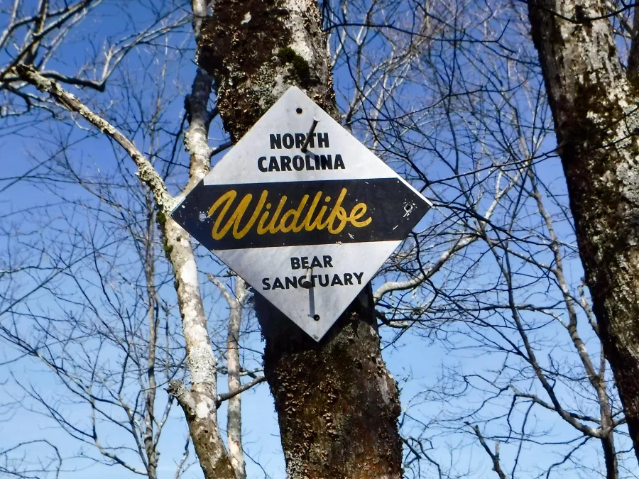 Bear sanctuary sign