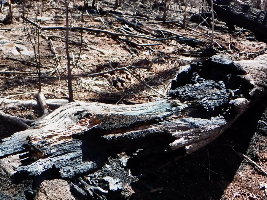 Fire damage
