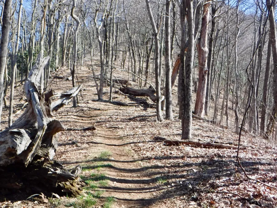 Climb from Bly Gap