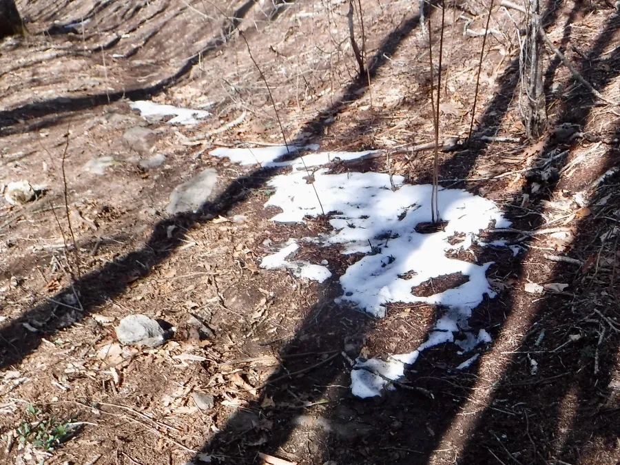 Patch of snow