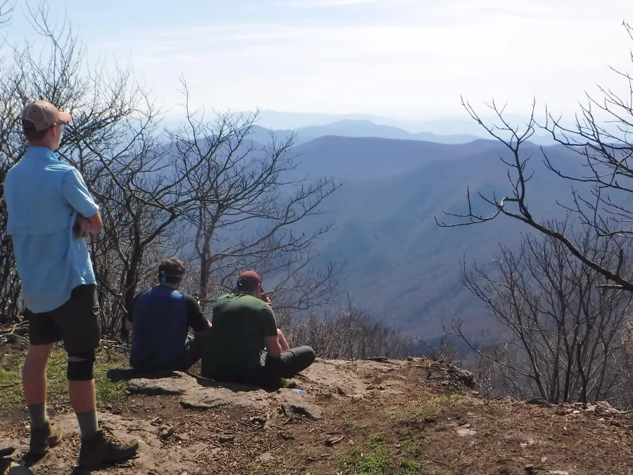 View from Standing Indian Mountain