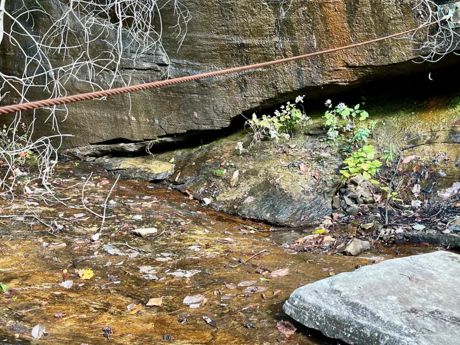 A cable strung across a creek