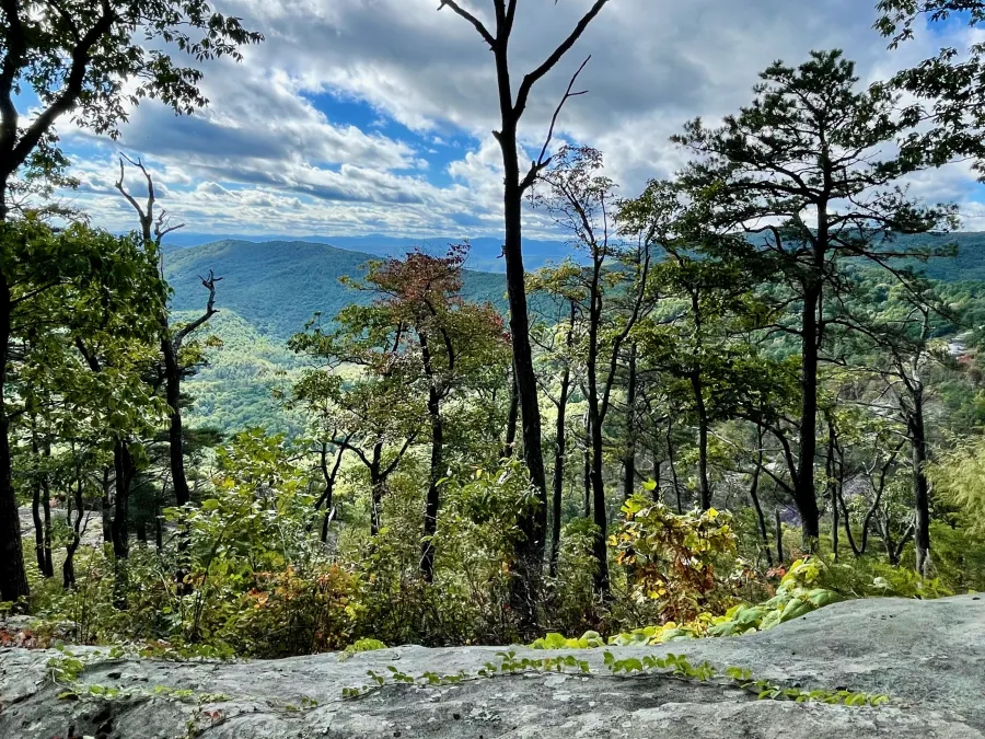 A view through trees on the Foothills Trail