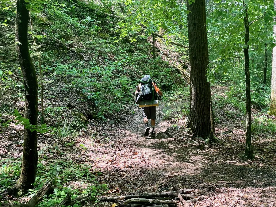 Tengo Hambre begins a climb